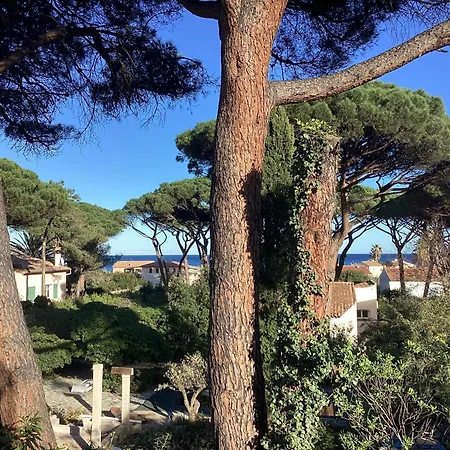 Nartelle 26 شقة *